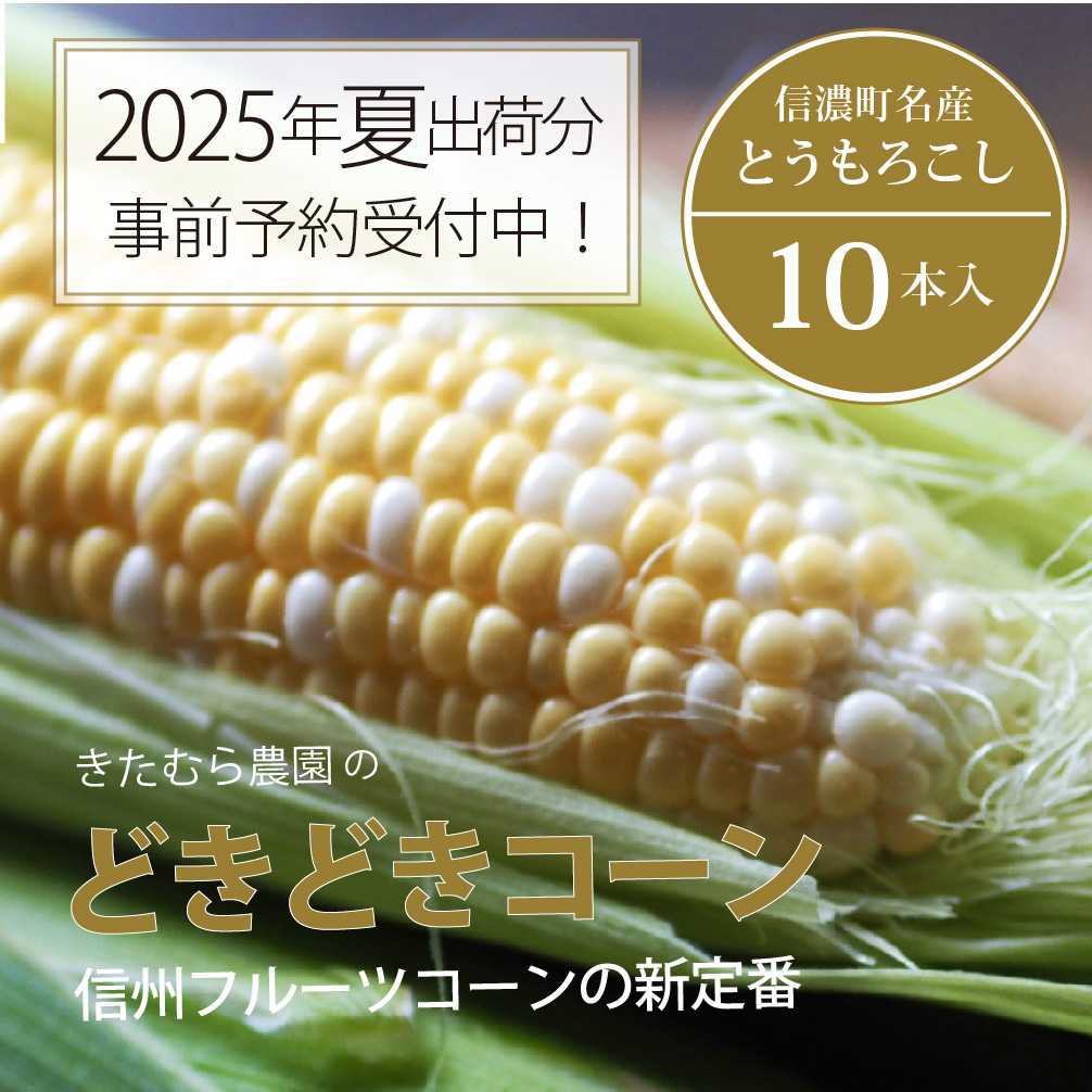 きたむら農園『どきどきコーン』×10本セット（約4～4.2kg相当）2025年夏分のご予約受付開始！　信濃町名産とうもろこし／スイートコーンの定番品種、予約受付中！ 令和7年7月下旬～8月下旬に随時出荷 先行予約【長野県信濃町ふるさと納税】