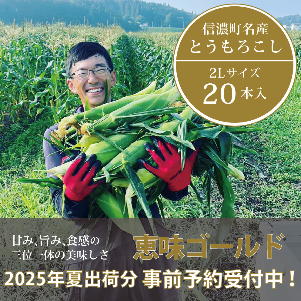 信濃町名産とうもろこし『落影農場の恵味（めぐみ） 20本セット』／スイートコーンの人気品種を早期予約限定で受付中！ 【2025年夏のご予約受付開始！】 令和7年7月下旬〜出荷予定 2025年夏出荷分 先行予約【長野県信濃町ふるさと納税】