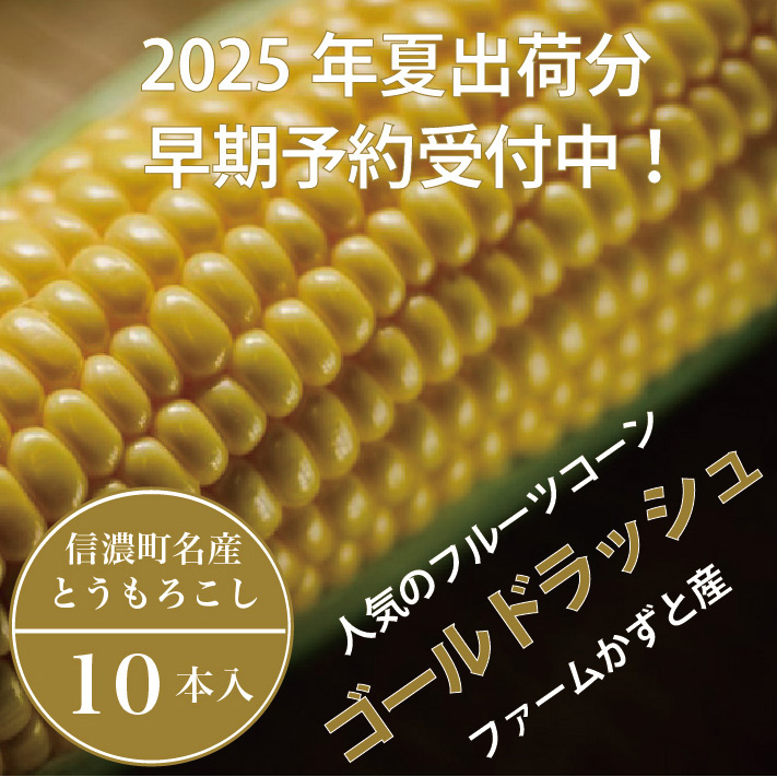  信濃町名産とうもろこし『ファームかずとのゴールドラッシュ 10本セット』【2025年夏のご予約受付開始！】生産者直送　令和7年（2025年）8月出荷分 先行予約【長野県信濃町ふるさと納税】　