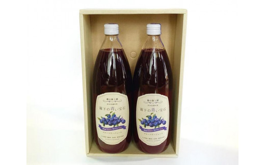 【長野県信濃町ふるさと納税】ぶんぶく亭「Stoneブルーベリージュース」１L×２本セット｜ 信濃町産のブルーベリーを贅沢に使った濃厚なジュースです