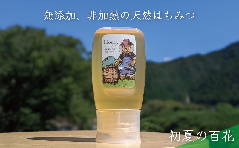 合計300g 天然蜂蜜 国産蜂蜜 非加熱 生はちみつ 岐阜県 美濃市産 初夏 (蜂蜜300g入りピタッとボトル1本)B9