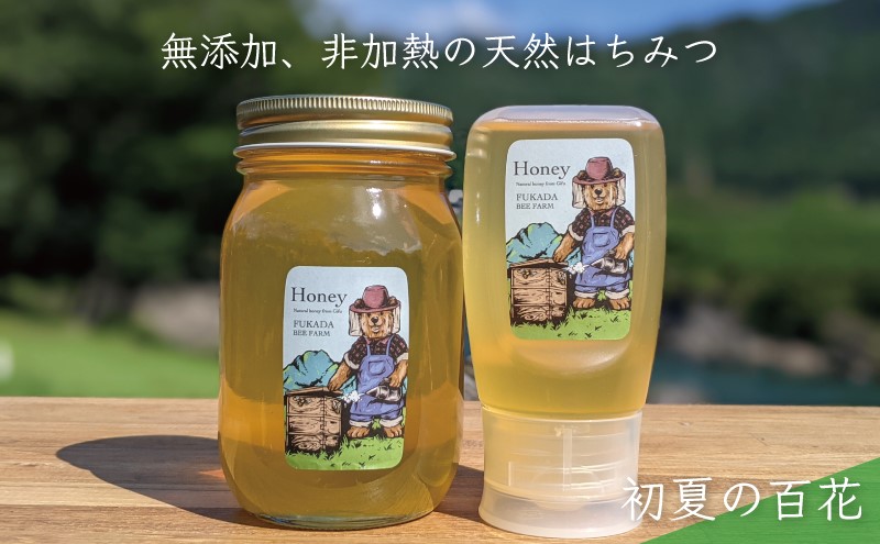 合計900g 天然蜂蜜 国産蜂蜜 非加熱 生はちみつ 岐阜県 美濃市産 初夏 (蜂蜜600g入りガラス瓶1本、蜂蜜300g入りピタッとボトル1本のセット)B15