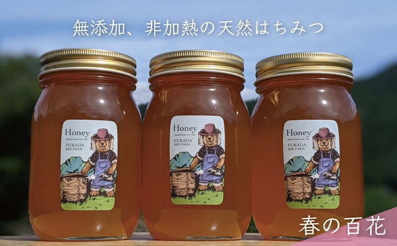 合計1800g 天然蜂蜜 国産蜂蜜 非加熱 生はちみつ 岐阜県 美濃市産 春 (蜂蜜600g入りガラス瓶3本セット)A7