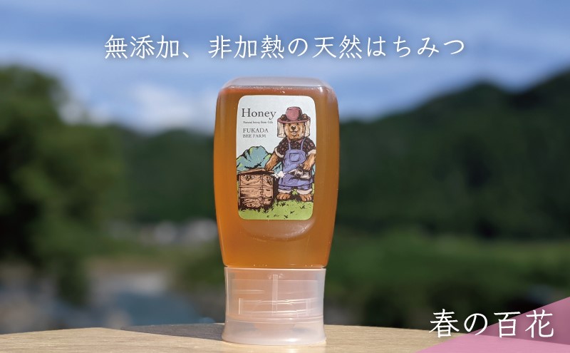 合計300g 天然蜂蜜 国産蜂蜜 非加熱 生はちみつ 岐阜県 美濃市産 春 (蜂蜜300g入りピタッとボトル1本)A9