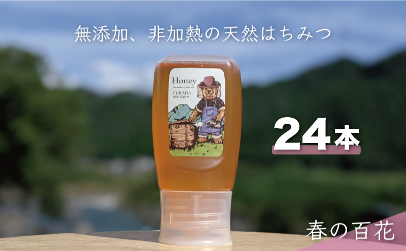 合計7200g 天然蜂蜜 国産蜂蜜 非加熱 生はちみつ 岐阜県 美濃市産 春 (蜂蜜300g入りピタッとボトル24本セット) A19