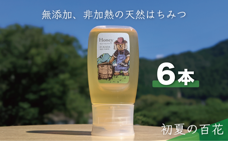 合計1800g 天然蜂蜜 国産蜂蜜 非加熱 生はちみつ 岐阜県 美濃市産 初夏 (蜂蜜300g入りピタッとボトル6本セット) B17