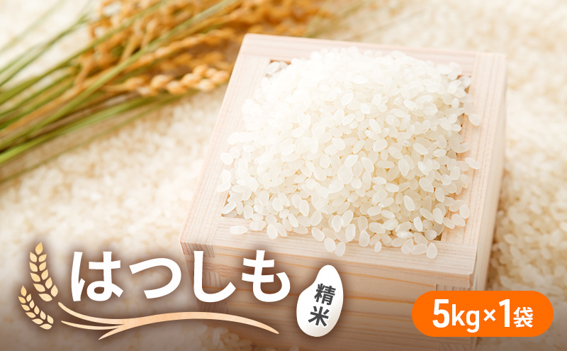 令和6年産 低農薬 清流育ち はつしも 精米 5kg×1袋 新米 お米 精白米 白米 米 ごはん 米 ご飯 ハツシモ あっさり ふっくら ブランド米 大粒 幻の米 お取り寄せ 自家用 贈答用 贈り物 御礼 産地直送 送料無料 美濃グリーン 岐阜県 美濃市