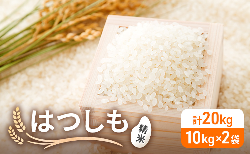 令和6年産 低農薬 清流育ち はつしも 精米 10kg×2袋 計20kg 新米 お米 精白米 白米 米 ごはん 米 ご飯 ハツシモ あっさり ブランド米 大粒 幻の米 お取り寄せ 自家用 贈答用 贈り物 御礼 産地直送 送料無料 美濃グリーン 岐阜県 美濃市