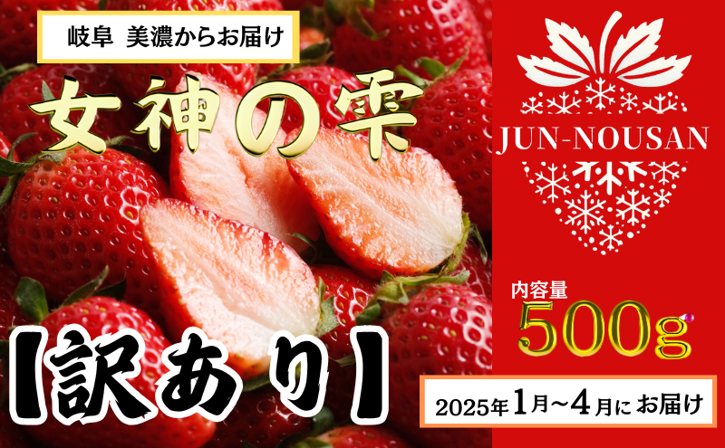 【訳あり】いちご/2025年1月から3月/250g×2パック/岐阜県美濃市産/