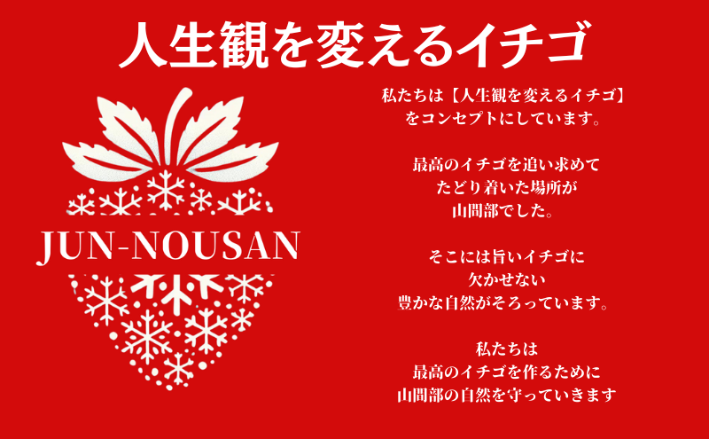 「今までで1番旨い」とグルメ家がうなったイチゴ【女神の雫】/2025年1月から3月/450g/岐阜県/美濃市/じゅん農産/2