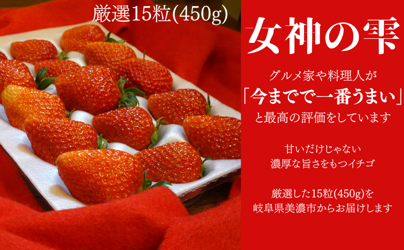 「今までで1番旨い」とグルメ家がうなったイチゴ【女神の雫】/2025年1月から3月/450g/岐阜県/美濃市/じゅん農産/1