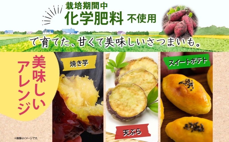 さつまいも シルクスイート 土付き 5kg 栽培期間中 化学肥料不使用 サツマイモ さつま芋 スイートポテト 野菜 旬 芋 甘い お取り寄せ 産地直送 産直 農場 人気 送料無料 マルイシすはら農園 岐阜県 美濃市