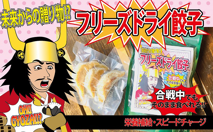 【未来からの贈り物!?】合戦中でもそのまま食べれるフリーズドライ餃子