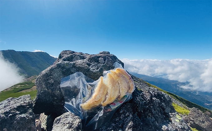 【未来からの贈り物!?】合戦中でもそのまま食べれるフリーズドライ餃子