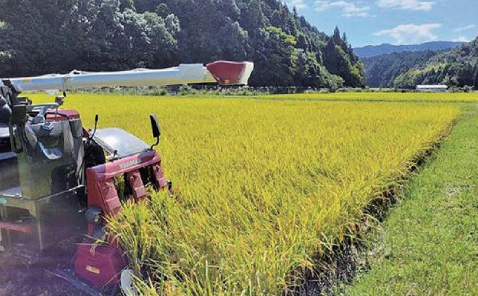 令和5年産 関ケ原町中挾地区限定米 コシヒカリ 精米 10kg 白米