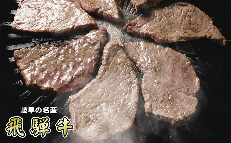 牛肉 飛騨牛 焼き肉 セット 赤身 モモ 又は カタ 1kg 黒毛和牛 Ａ5 美味しい お肉 牛 肉 和牛 焼肉 BBQ バーベキュー 【岐阜県輪之内町】