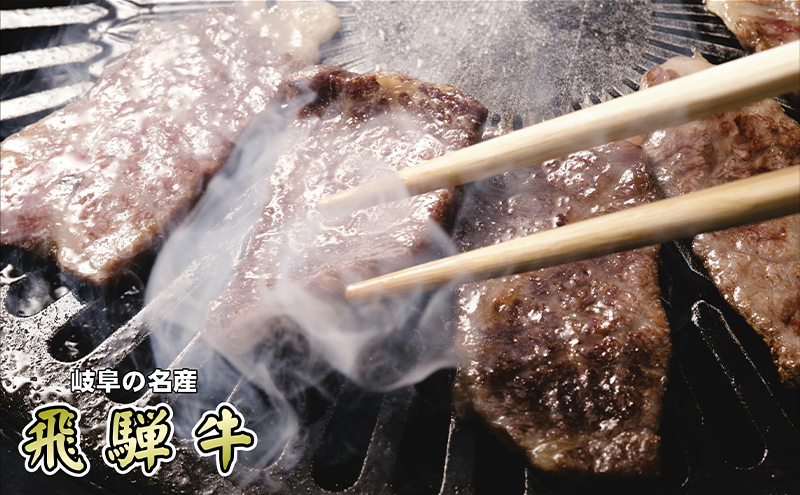 牛肉 飛騨牛 焼き肉 セット ロース 又は 肩ロース 500g 黒毛和牛 Ａ5 美味しい お肉 牛 肉 和牛 焼肉 BBQ バーベキュー 【岐阜県輪之内町】