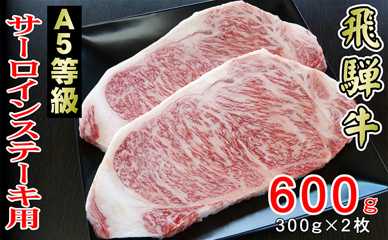 牛肉 飛騨牛 サーロイン ステーキ セット 600g（1枚 約300g×2枚） 黒毛