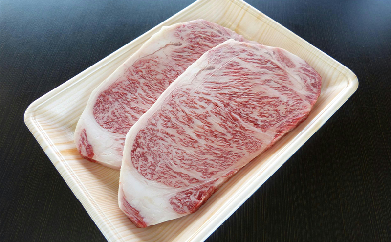 牛肉 飛騨牛 サーロイン ステーキ セット 600g（1枚 約300g×2枚） 黒毛