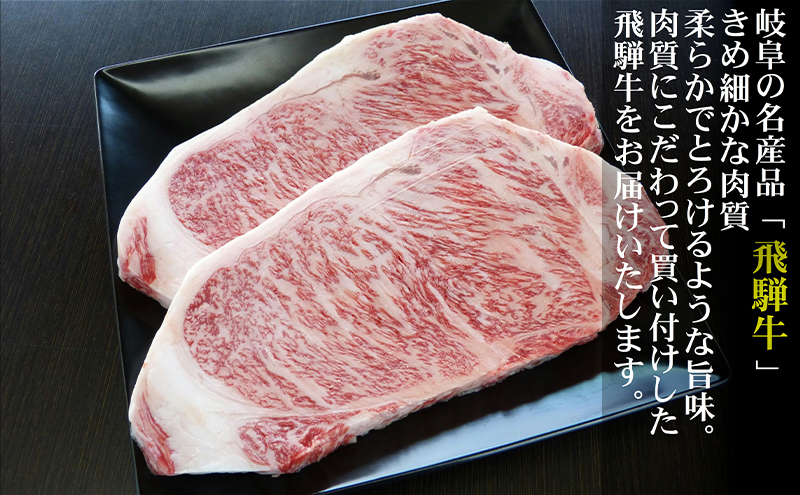 牛肉 飛騨牛 サーロイン ステーキ セット 600g（1枚 約300g×2枚） 黒毛