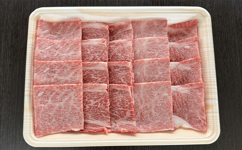 牛肉 飛騨牛 焼き肉 セット ロース 又は 肩ロース 500g 黒毛和牛 Ａ5 美味しい お肉 牛 肉 和牛 焼肉 BBQ バーベキュー 【岐阜県輪之内町】