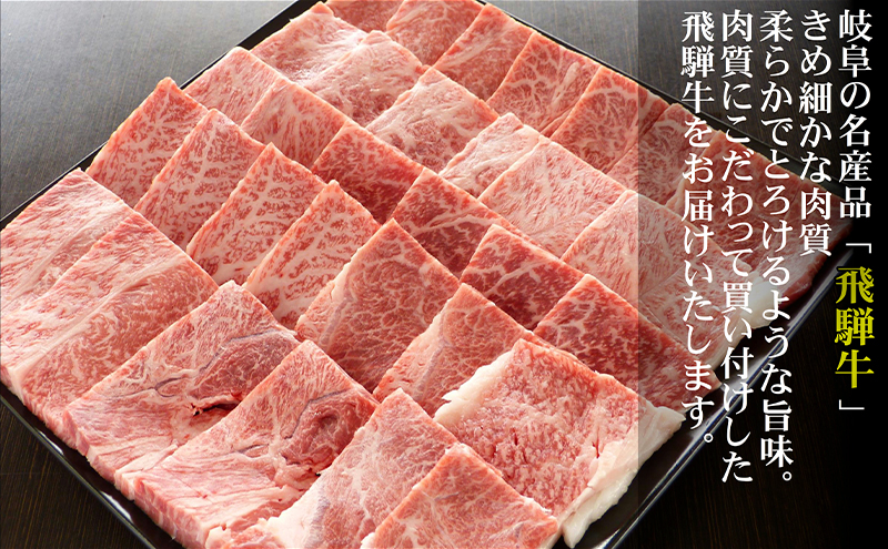 牛肉 飛騨牛 焼き肉 セット 赤身 モモ 又は カタ 1kg 黒毛和牛 Ａ5 美味しい お肉 牛 肉 和牛 焼肉 BBQ バーベキュー 【岐阜県輪之内町】