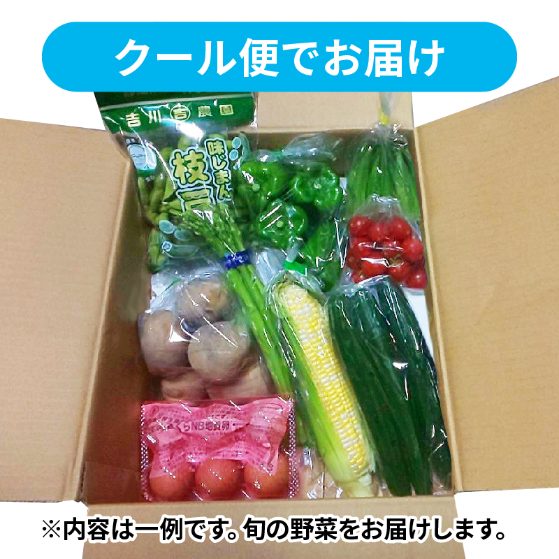 【 全6回定期便 】 野菜 詰め合わせ 産地 直送 6 ~ 8種 減農薬 栽培 旬 採れたて やさい お試し 一人暮らし ふたり暮らし 健康 食材 ハーフセット 静岡県 藤枝市 