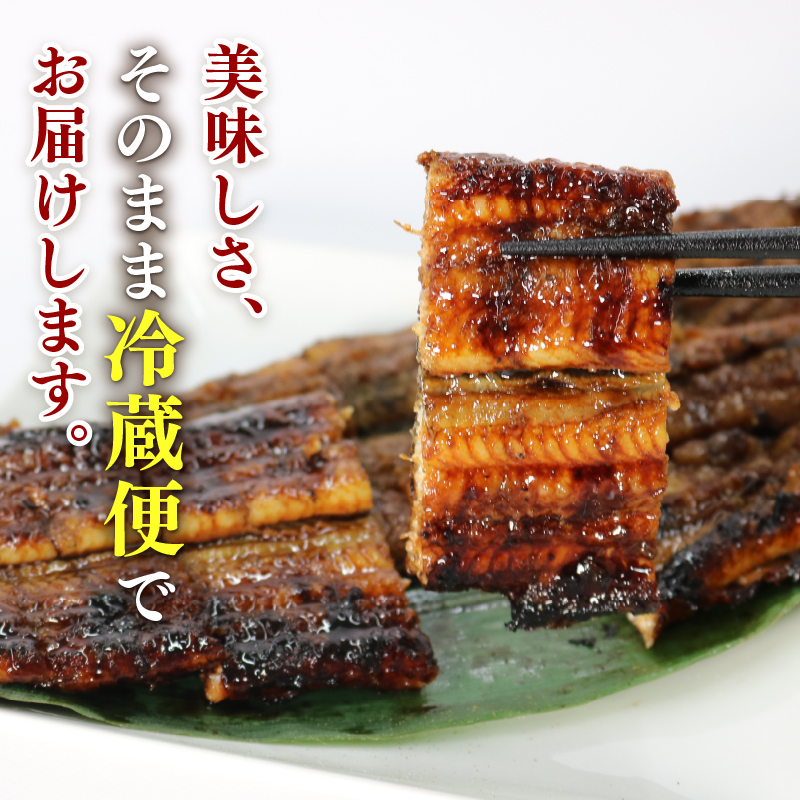 【全6回定期便】 うなぎ 蒲焼 大姿焼き 2尾 (140g×2) 定期便 鰻蒲焼 ウナギ かばやき 土用 丑の日 活鰻 自家製蒲焼 たれ 山椒 ギフト 贈答 冷蔵 まとめ買い 静岡県 藤枝 ふるさと人気