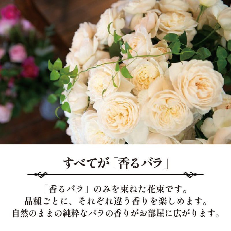 【6ヶ月定期便】 バラ 花束 ブーケ 朝摘み 3種類 薔薇 花 ばら パフューム ローズ 生花 ギフト プレゼント 祝い 定期便 母の日 卒業式 贈り物 贈答 記念日 香り 静岡県 藤枝市