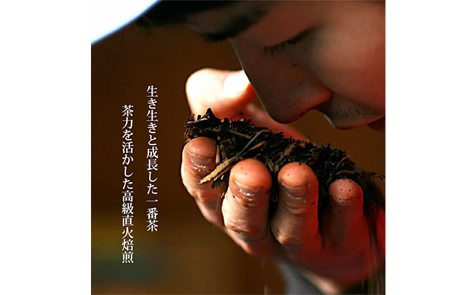 【完全有機栽培】煎茶B10本セット（有機JAS）