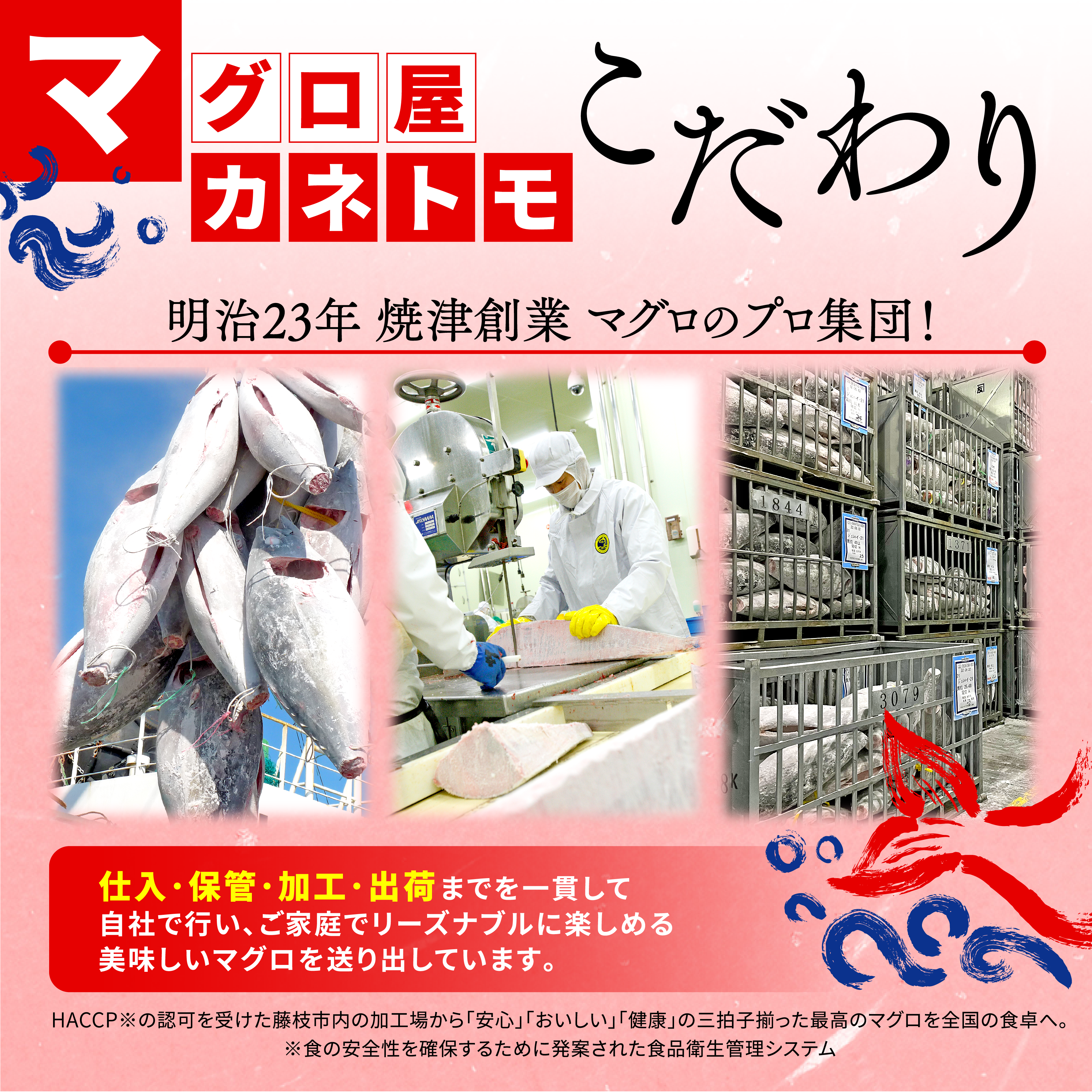 【オンライン決済限定】 【2024年12月発送】 訳あり 本まぐろ 赤身 約500g 不定型柵 本鮪 まぐろ 赤身 解凍 鮪 漬け マグロ ユッケ 海鮮 本マグロ