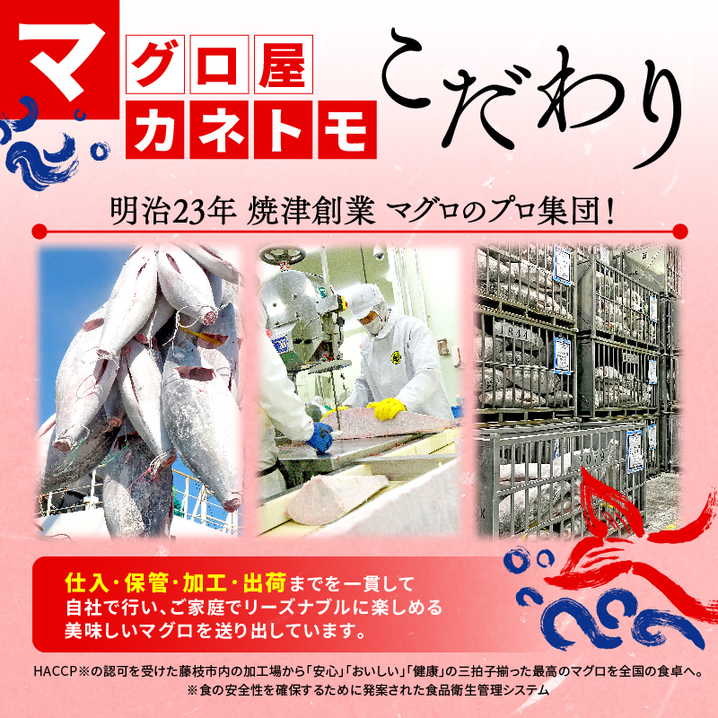 訳あり 本まぐろ 赤身 約500g 不定型柵 本鮪 まぐろ 赤身 解凍 鮪 漬け マグロ ユッケ 海鮮 本マグロ ふるさと人気  