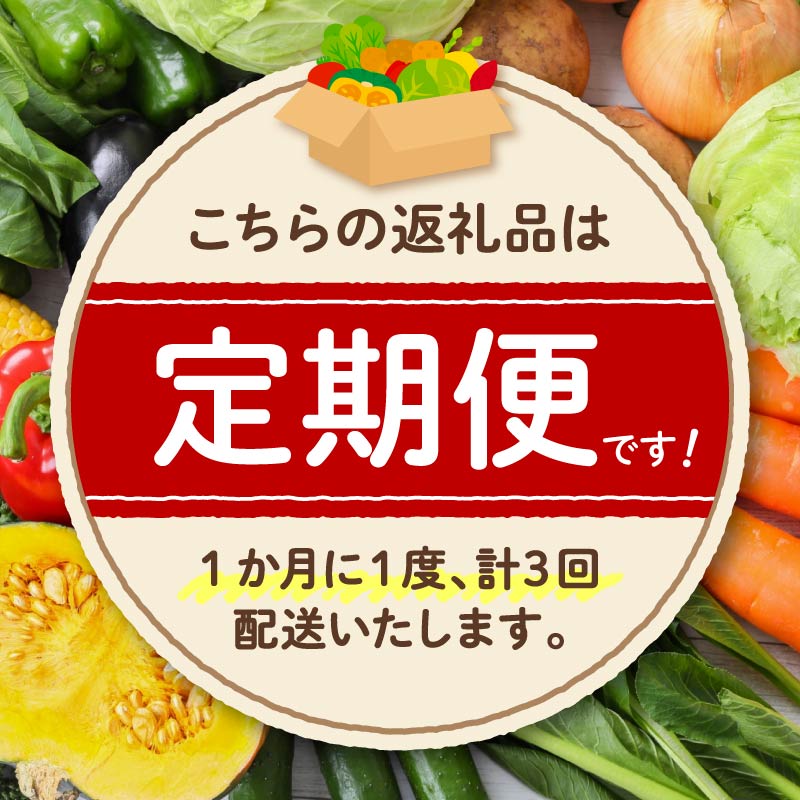 【 全3回定期便 】 野菜 詰め合わせ 産地 直送 10~ 14種 減農薬 栽培 旬 採れたて やさい 家庭用 健康 食材 静岡県 藤枝市 