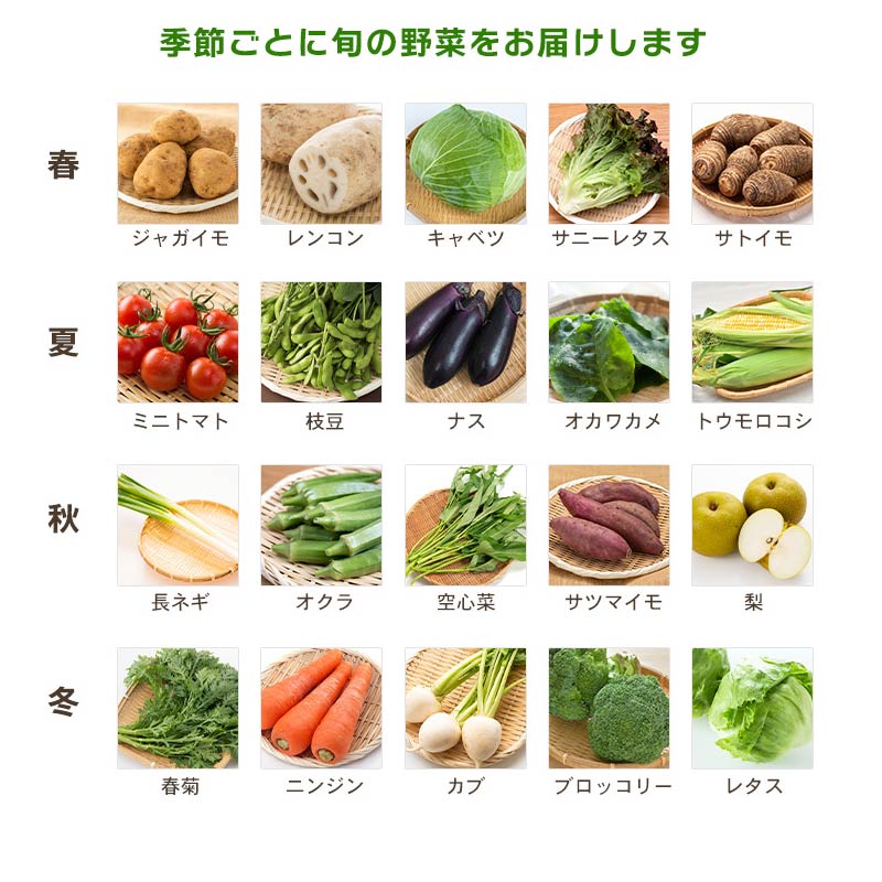 【 全6回定期便 】 野菜 詰め合わせ 産地 直送 10~ 14種 減農薬 栽培 旬 採れたて やさい 家庭用 健康 食材 静岡県 藤枝市 