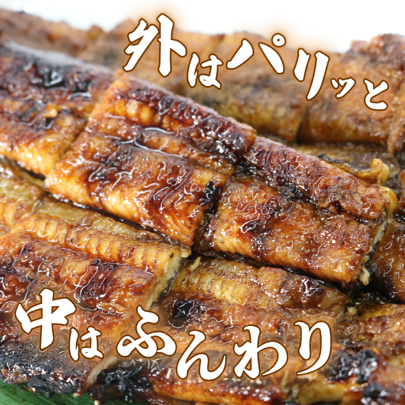 【全6回定期便】 うなぎ 蒲焼 大姿焼き 2尾 (140g×2) 定期便 鰻蒲焼 ウナギ かばやき 土用 丑の日 活鰻 自家製蒲焼 たれ 山椒 ギフト 贈答 冷蔵 まとめ買い 静岡県 藤枝 ふるさと人気