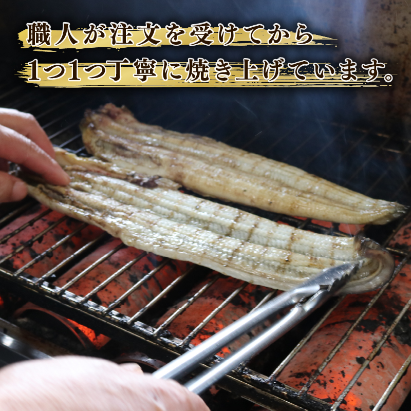 【全6回定期便】 うなぎ 蒲焼 大姿焼き 2尾 (140g×2) 定期便 鰻蒲焼 ウナギ かばやき 土用 丑の日 活鰻 自家製蒲焼 たれ 山椒 ギフト 贈答 冷蔵 まとめ買い 静岡県 藤枝 ふるさと人気