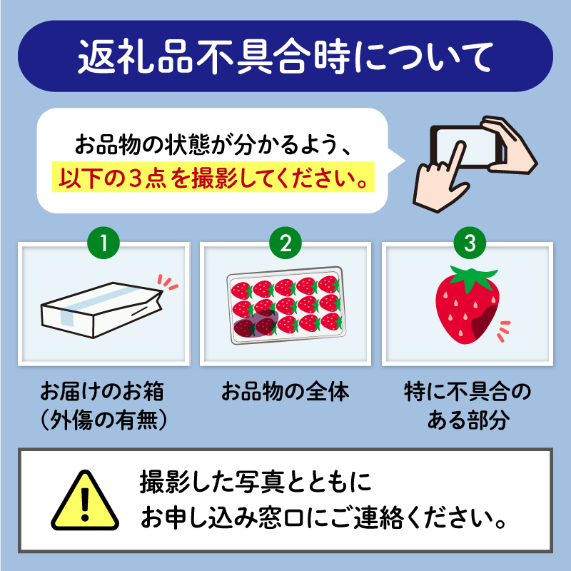 【先行予約 : 2025年3月～2025年5月発送予定 】 いちご きらぴ香 約1kg 約250g×4パック 朝どれ 完熟 苺 産地 直送 フレッシュ イチゴ 贈答 フルーツ 果物 国産 静岡県 藤枝市 ふるさと人気