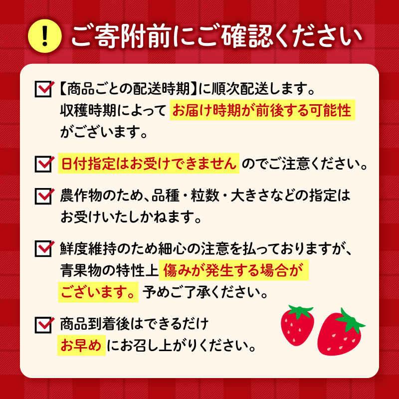 【先行予約 : 2025年3月～2025年5月発送予定 】 いちご きらぴ香 約1kg 約250g×4パック 朝どれ 完熟 苺 産地 直送 フレッシュ イチゴ 贈答 フルーツ 果物 国産 静岡県 藤枝市 ふるさと人気