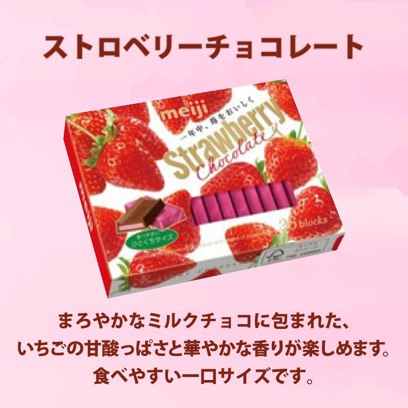 《 明治 なるほどファクトリー 東海 》 チョコレート セット Cセット 8種類 18個入 静岡県 藤枝市 人気お菓子 ふるさと納税お菓子 ふるさとお菓子 furusatoお菓子  静岡県 藤枝市 