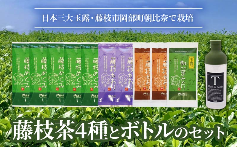 お茶 藤枝茶 4種 フィルターインボトルパーソナル セット 緑茶 煎茶 玉露 日本茶 和紅茶 国産 ギフト 詰合せ 詰め合わせ 