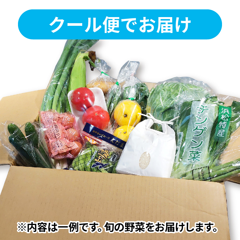 野菜 詰め合わせ 産地 直送 10~ 14種 減農薬 栽培 旬 採れたて やさい 家庭用 健康 食材 静岡県 藤枝市 