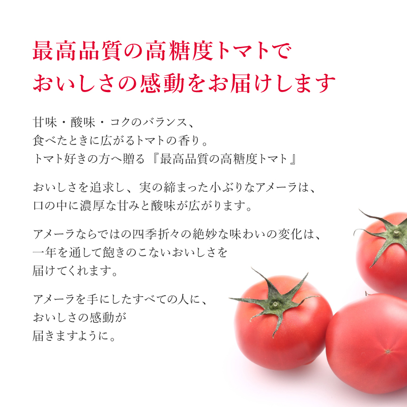 甘い ミニトマト アメーラルビンズ トマト 5パック 高糖度 10度 以上 化粧箱入り 産地 直送 新鮮 旬の 野菜 高級 フルーツトマト ジュース にも 静岡県 藤枝市 