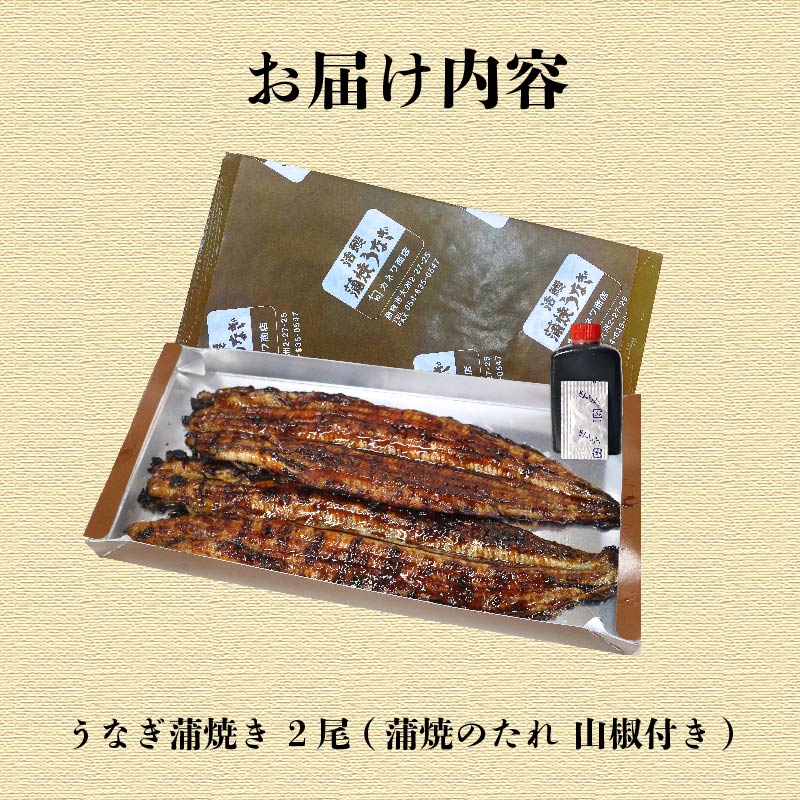 うなぎ 蒲焼 2尾 (140g×2) 蒲焼 鰻蒲焼 ウナギ かばやき 土用 丑の日 活鰻 自家製蒲焼 たれ 山椒 ギフト 贈答 冷蔵 まとめ買い 静岡県 藤枝 ふるさと人気