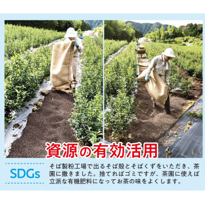 【先行予約 2025年5月25日以降順次発送予定】 2025年度産 新茶 茶葉 100g × 4袋 オーガニック 有機 静岡県産 日本茶 お茶 化学肥料 不使用 静岡県 藤枝市