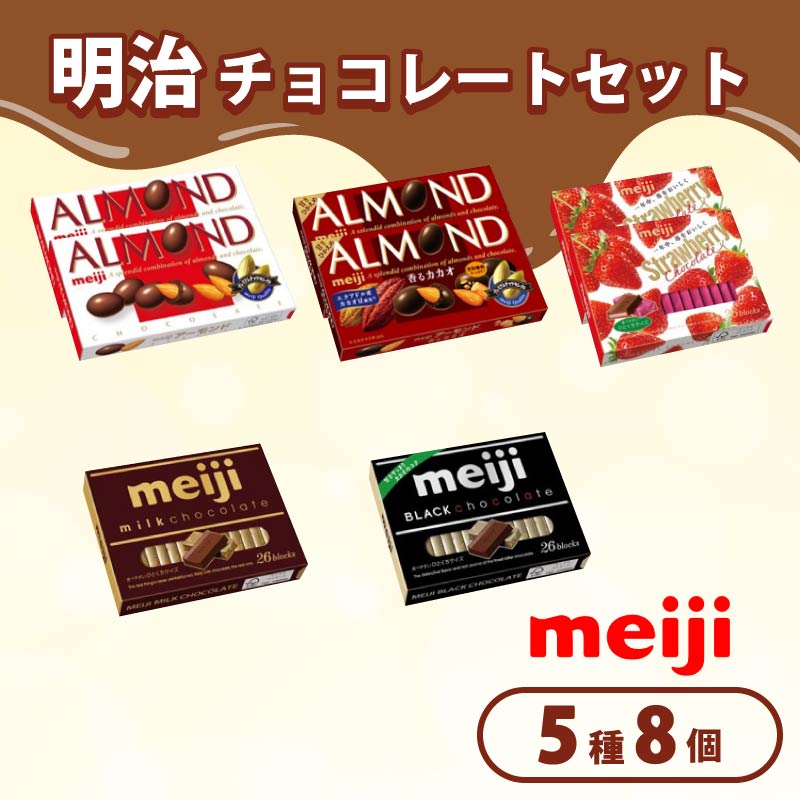 《 明治 なるほどファクトリー 東海 》 チョコレート セット Aセット 5種類 8個入静岡県 藤枝市 明治 Meiji スイーツ チョコ おやつ セット アーモンド カカオ ミルク ストロベリー