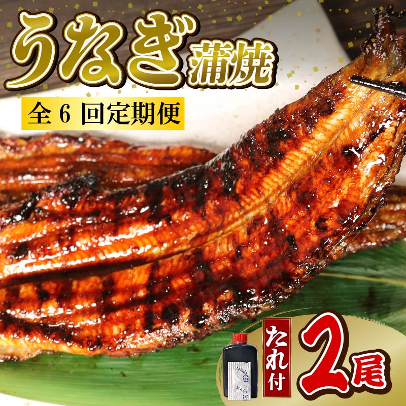 【全6回定期便】 うなぎ 蒲焼 大姿焼き 2尾 (140g×2) 定期便 鰻蒲焼 ウナギ かばやき 土用 丑の日 活鰻 自家製蒲焼 たれ 山椒 ギフト 贈答 冷蔵 まとめ買い 静岡県 藤枝 ふるさと人気