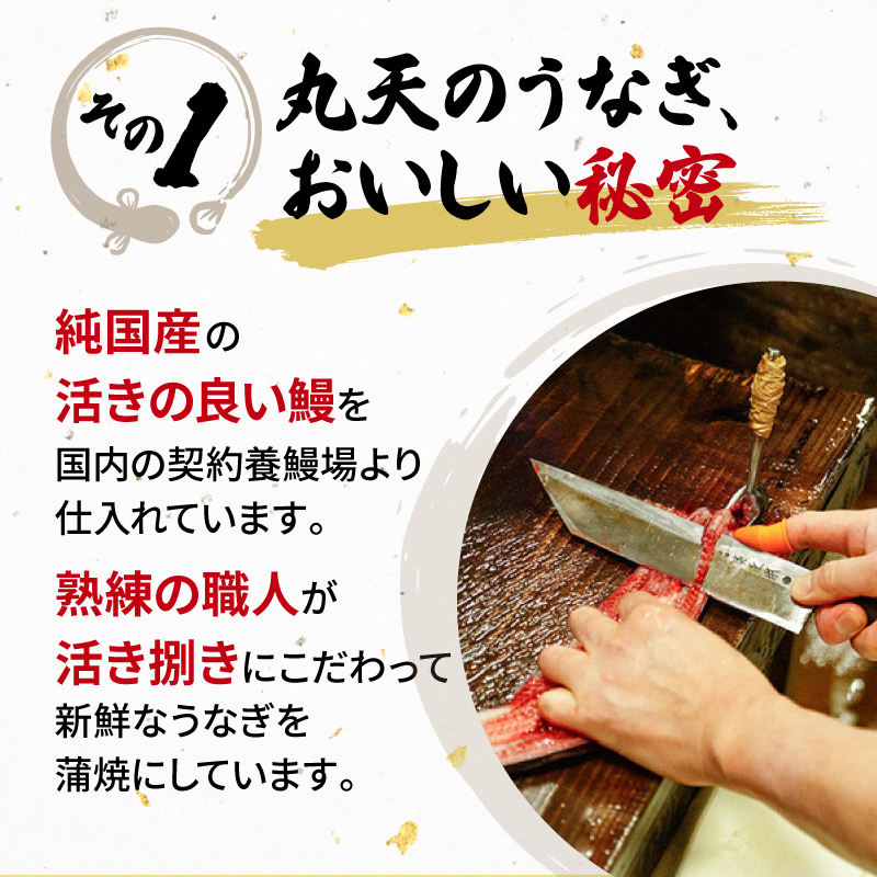 うなぎ 国産 蒲焼 160g × 4尾 計640g 鰻蒲焼 ウナギ 土用 丑の日 JAS認定 活鰻 自家製蒲焼のたれ 山椒 ギフト 贈答 冷凍 養殖 真空パック レンジ 調理 湯煎 まとめ買い 静岡県 藤枝