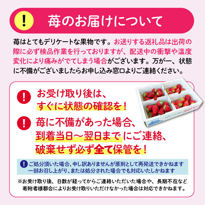 【先行予約 2025年1月より順次発送予定】 いちご 2種 2kg 以上 苺 旬 産地 直送 フレッシュ イチゴ 紅ほっぺ 章姫 きらぴ香 かおりの フルーツ 果物 国産 ジャパン ベリー 予定 静岡県 藤枝市