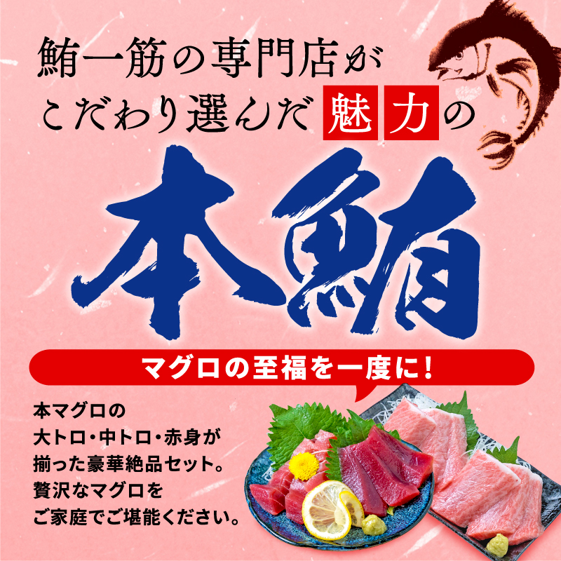 【オンライン決済限定】 【2024年12月配送】 本まぐろ 大とろ 中とろ 赤身 詰合せ 約300g 年内配送 本鮪 本マグロ 食べ比べ 大トロ 中トロ 赤身 解凍 鮪 漬け マグロ ユッケ 海鮮