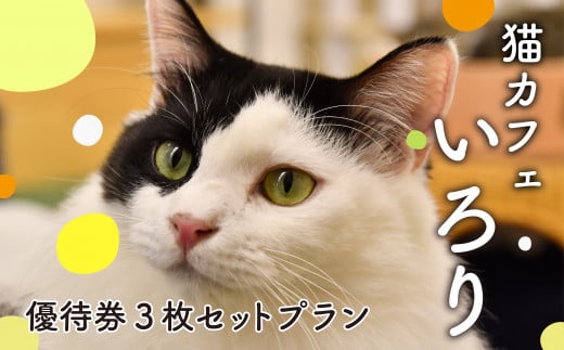 猫カフェいろり ご利用優待券(1時間分)×3枚セット